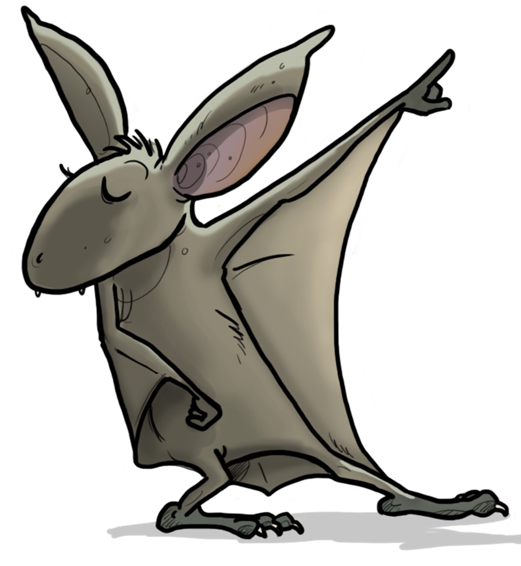 Kom och träffa Navets fladdermus Tunda!