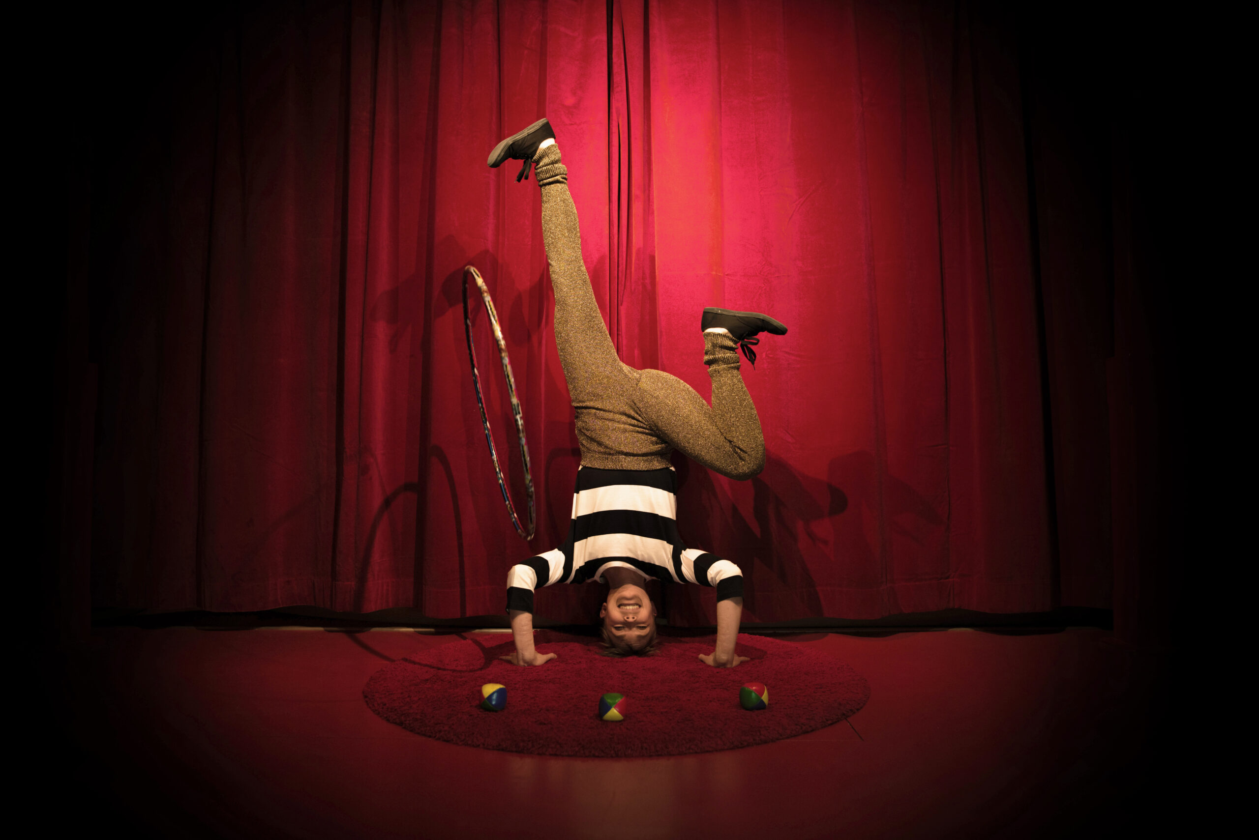 Alfie’s minicircus